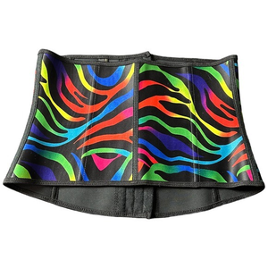 Rainbow Zebra Waist Trainer Size‎ M